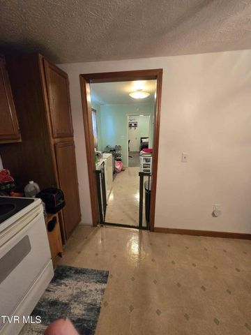 229 Aesque Street, Kingsport, TN 37665
