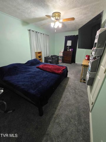 229 Aesque Street, Kingsport, TN 37665