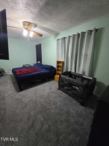 229 Aesque Street, Kingsport, TN 37665