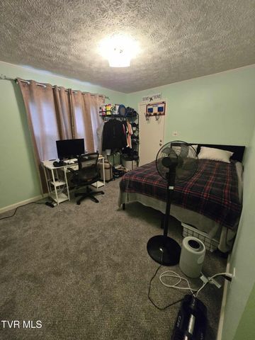 229 Aesque Street, Kingsport, TN 37665
