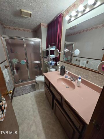 229 Aesque Street, Kingsport, TN 37665