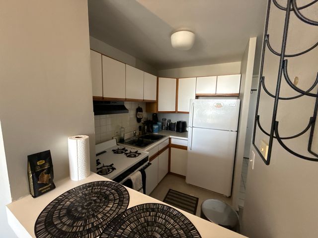 2921 S Michigan Avenue 413, Chicago, IL 60616