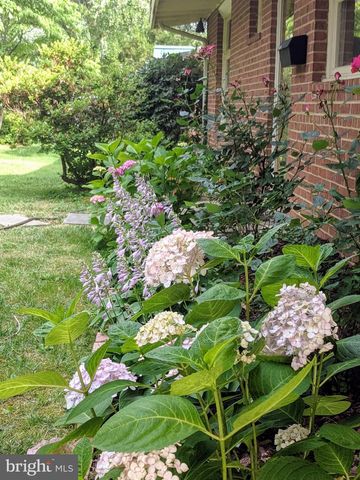 6519 BYRNES DR, Mclean, VA 22101