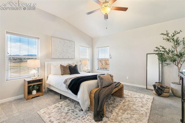 6904 Bigtooth Maple Drive, Colorado Springs, CO 80925