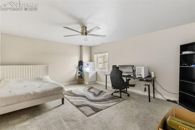 6904 Bigtooth Maple Drive, Colorado Springs, CO 80925