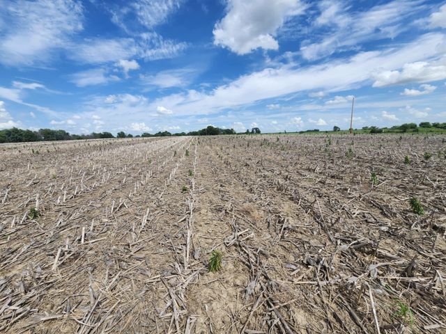 00 TRACT 5 AR 924, Centralia, MO 65240