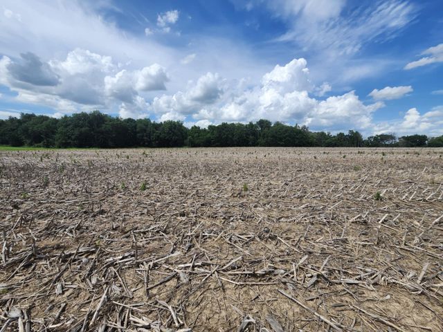 00 TRACT 5 AR 924, Centralia, MO 65240