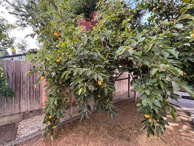 1053 L Aloutte Way, Sacramento, CA 95831