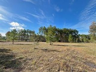212 County Road 5002, Cleveland, TX 77327