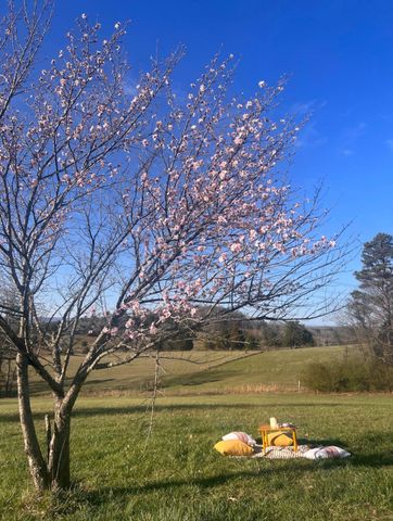 13574 Braxton Lane, Birchwood, TN 37308