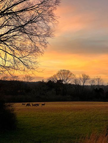 13574 Braxton Lane, Birchwood, TN 37308