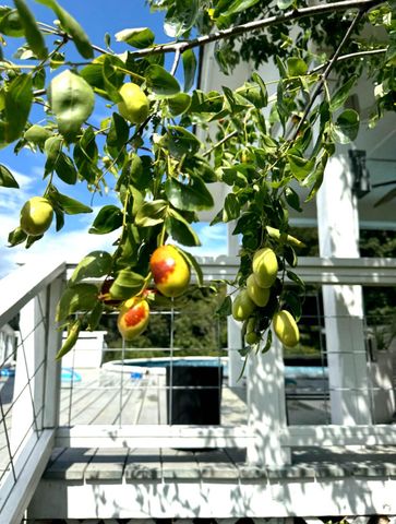 13574 Braxton Lane, Birchwood, TN 37308