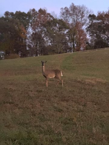 13574 Braxton Lane, Birchwood, TN 37308