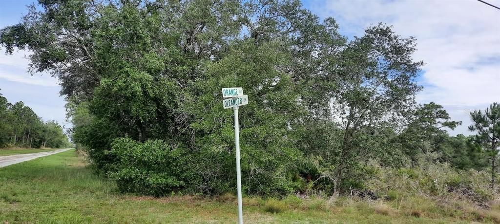 OLEANDER DRIVE, Indian Lake Estates, FL 33855
