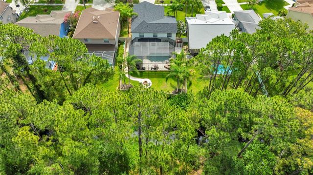 13115 ROYAL GEORGE AVENUE, Odessa, FL 33556