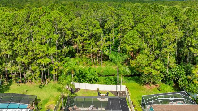 13115 ROYAL GEORGE AVENUE, Odessa, FL 33556