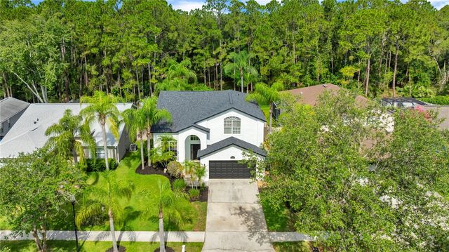 13115 ROYAL GEORGE AVENUE, Odessa, FL 33556