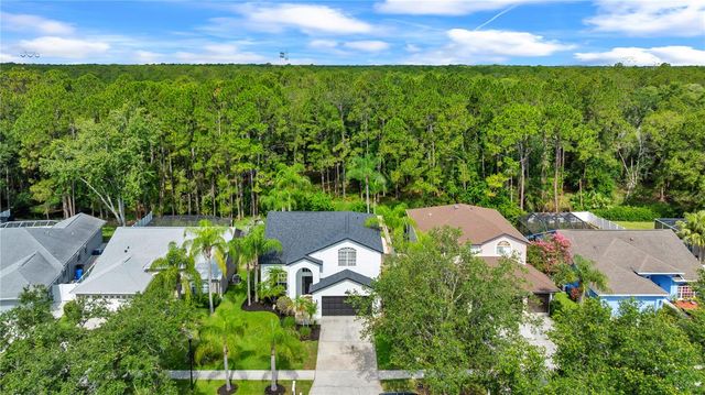 13115 ROYAL GEORGE AVENUE, Odessa, FL 33556