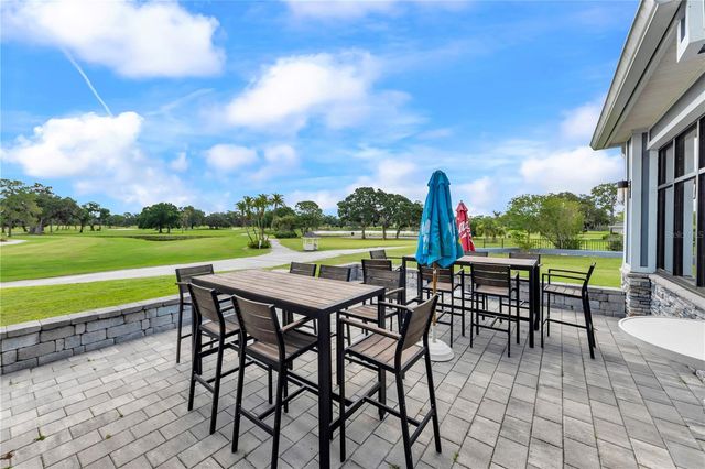 13115 ROYAL GEORGE AVENUE, Odessa, FL 33556