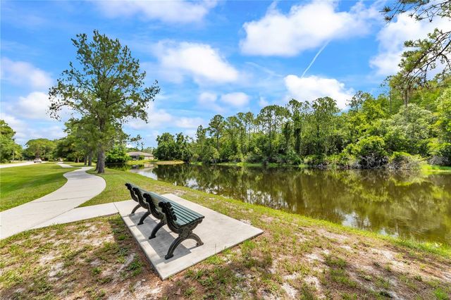 13115 ROYAL GEORGE AVENUE, Odessa, FL 33556