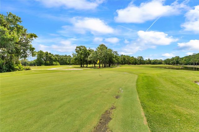 13115 ROYAL GEORGE AVENUE, Odessa, FL 33556