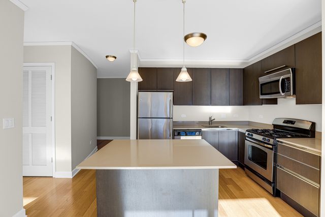 225 N Columbus Drive 5311, Chicago, IL 60601