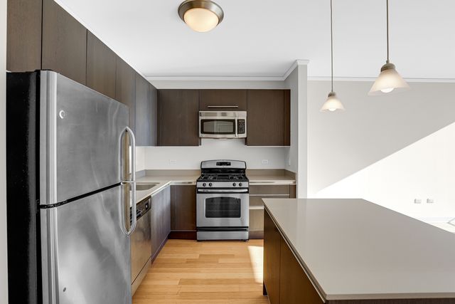 225 N Columbus Drive 5311, Chicago, IL 60601