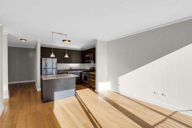 225 N Columbus Drive 5311, Chicago, IL 60601