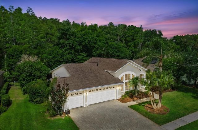 19004 SAINT LAURENT DRIVE, Lutz, FL 33558