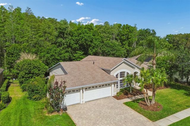 19004 SAINT LAURENT DRIVE, Lutz, FL 33558