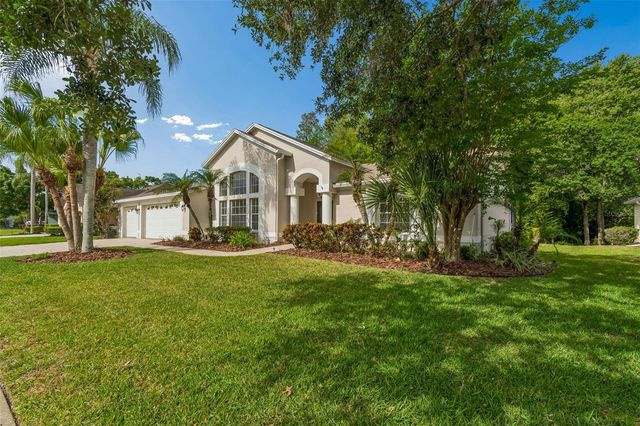 19004 SAINT LAURENT DRIVE, Lutz, FL 33558