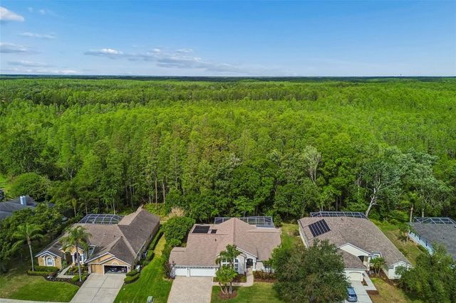 19004 SAINT LAURENT DRIVE, Lutz, FL 33558