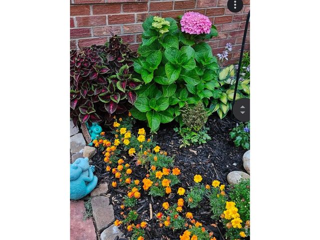 549 Arrowhead Dr, Loveland, CO 80537