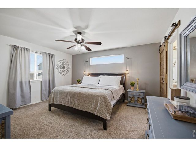 4502 Emerald Bay Ln, Wellington, CO 80549