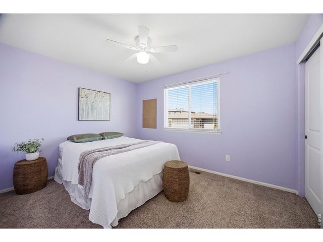 4502 Emerald Bay Ln, Wellington, CO 80549