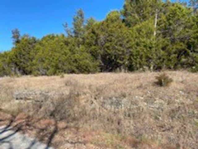 12 Lakeview Lane, Holiday Island, AR 72631