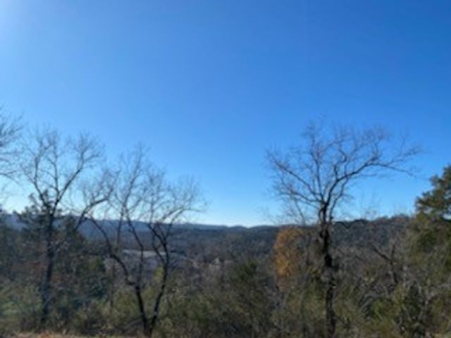 12 Lakeview Lane, Holiday Island, AR 72631