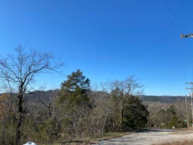 12 Lakeview Lane, Holiday Island, AR 72631