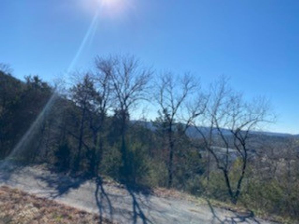 12 Lakeview Lane, Holiday Island, AR 72631