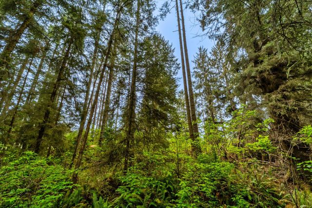 1711 Orrin'S Lane, Dows Prairie, CA 95519