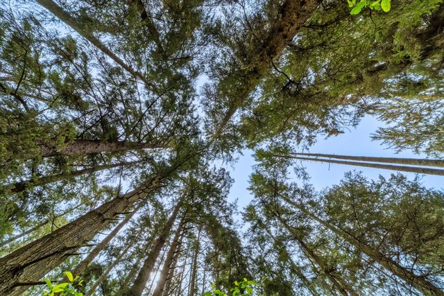 1711 Orrin'S Lane, Dows Prairie, CA 95519