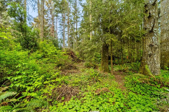 1711 Orrin'S Lane, Dows Prairie, CA 95519