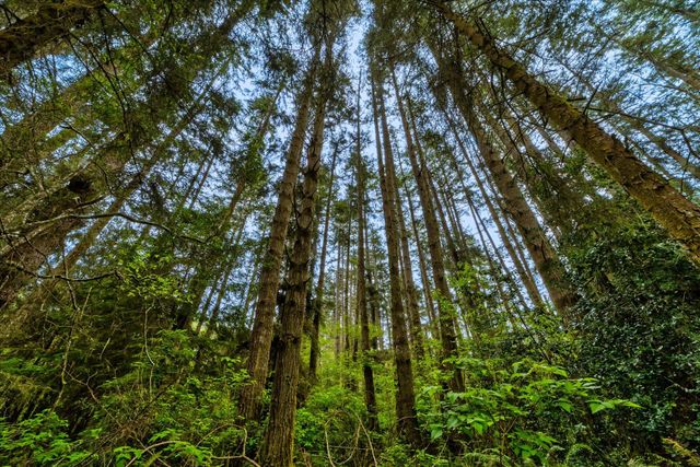 1711 Orrin'S Lane, Dows Prairie, CA 95519