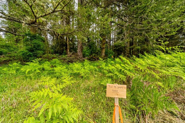 1711 Orrin'S Lane, Dows Prairie, CA 95519