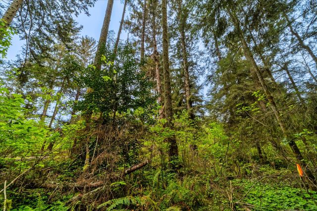 1711 Orrin'S Lane, Dows Prairie, CA 95519