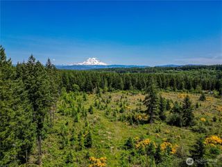 39507 18th Avenue E, Roy, WA 98580
