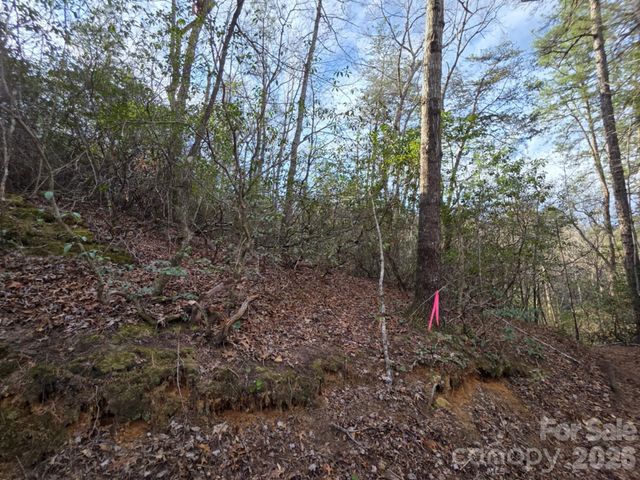 Lot 10 Kerlee Lane, Old Fort, NC 28762