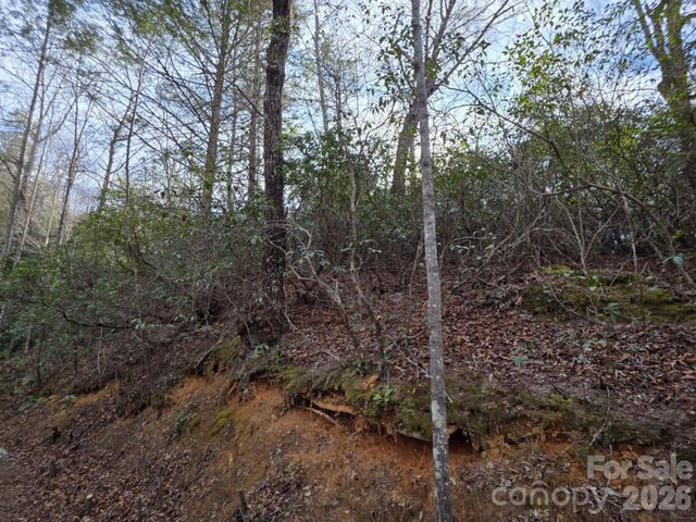 Lot 10 Kerlee Lane, Old Fort, NC 28762