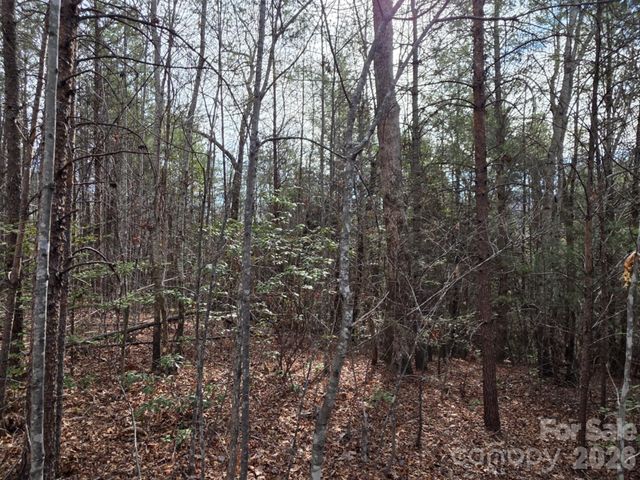 Lot 10 Kerlee Lane, Old Fort, NC 28762