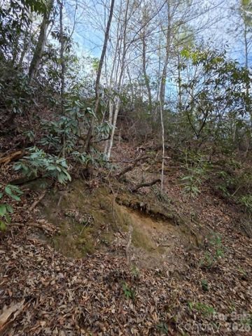 Lot 10 Kerlee Lane, Old Fort, NC 28762